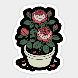 Rose plant in a pot Sticker